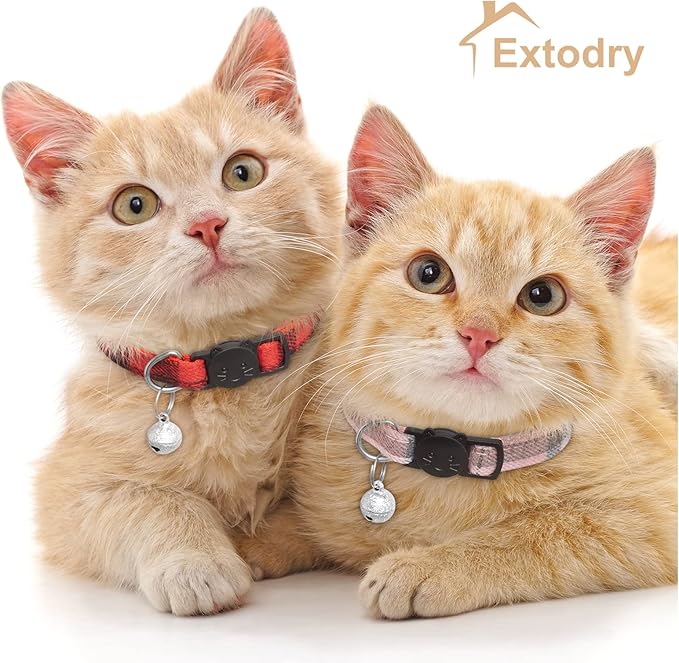 Breakaway Cat Collar with Bell and Accessories - Image 2