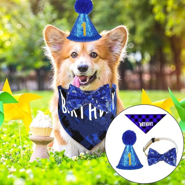 Cat Birthday Bandana - Image 4