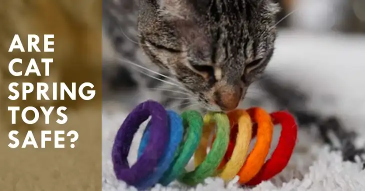 Are Cat Spring Toys Safe?