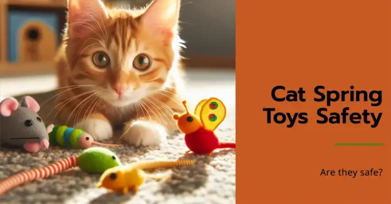 Are Cat Spring Toys Safe? Complete Guide