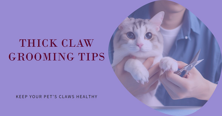 How to Groom and Manage Thick Claws