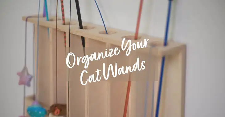 How to Store Cat Wands? The Best Ways to Keep Them Safe and Tangle-Free