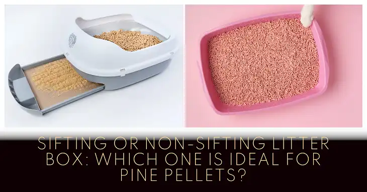 Sifting or Non-Sifting Litter Box