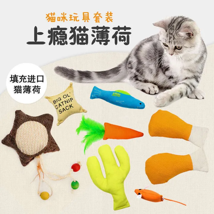 Catnip Fish Teeth Grinding Toy