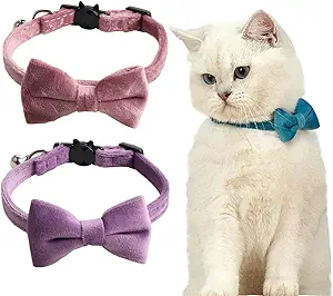 Adjustable Blue Velvet Cat Collar