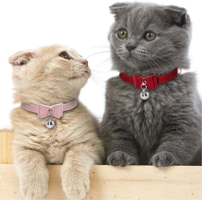 Velvet Bowknot Cat Collar - Image 5