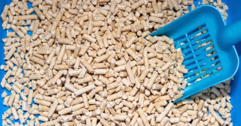 How to Scoop Pellet Litter?