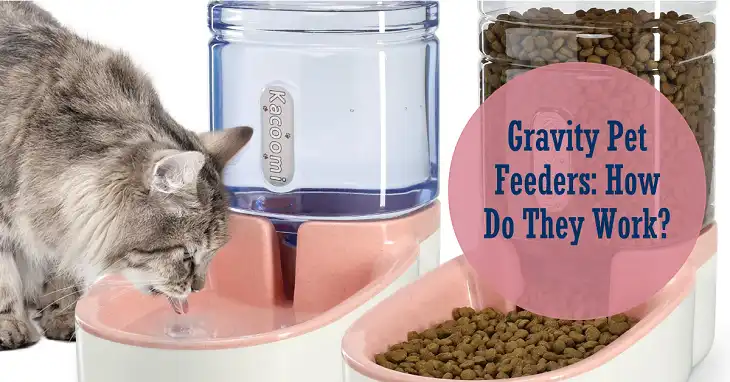 How Does a Gravity Pet Feeder Work?