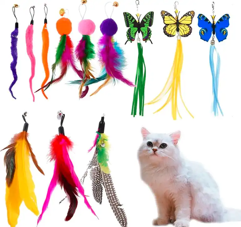 Types of Feather Toys