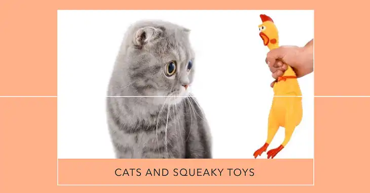 Do Cats Like Squeaky Toys?