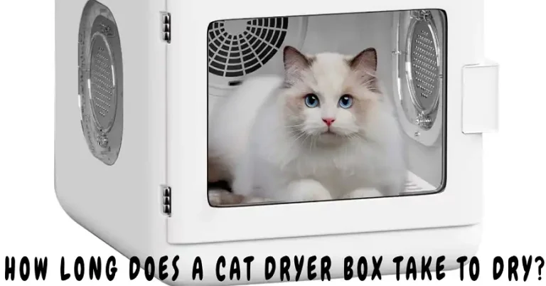 How Long Does a Cat Dryer Box Take to Dry?