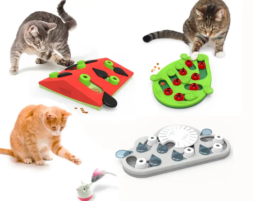 Different Types of Cat Puzzle Toys