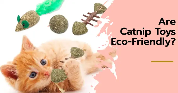 Are Catnip Toys Eco-Friendly?