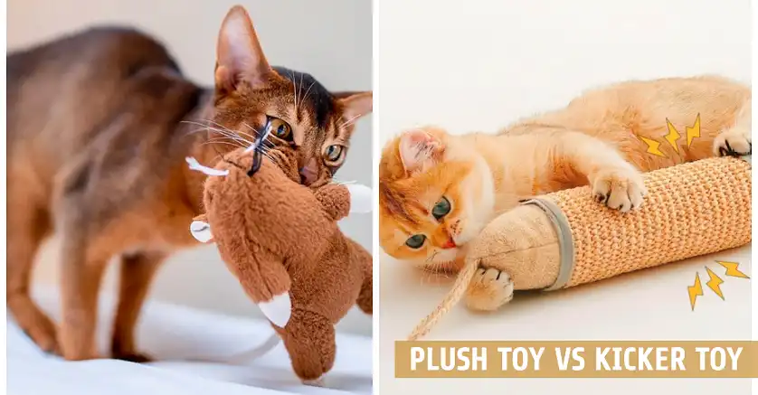 Plush Toy vs Kicker Toy for Cats