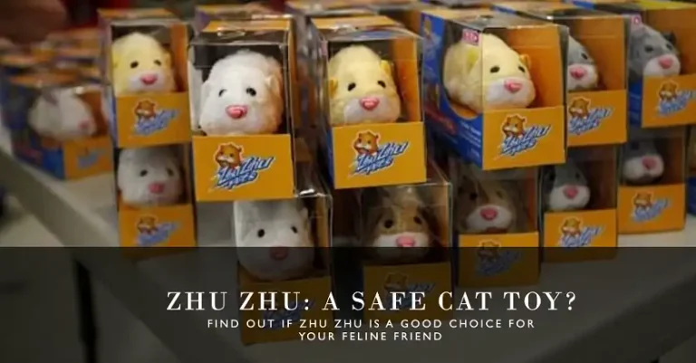 Is a Zhu Zhu a Good Cat Toy?