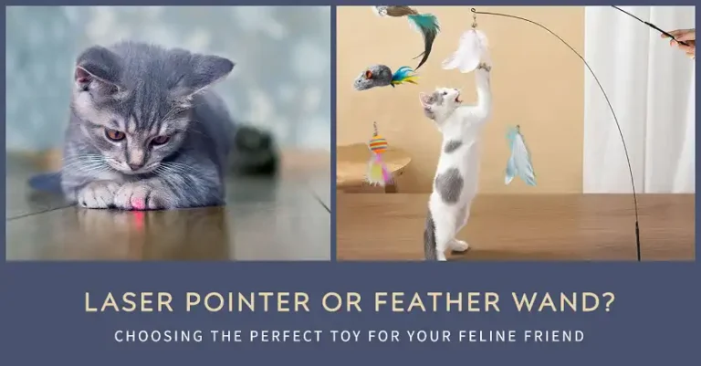 Laser Pointer vs Feather Wand: Which One’s Better for Your Cat?