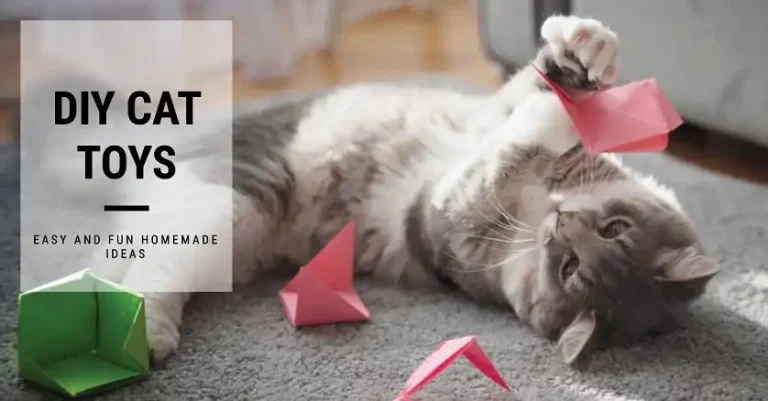 Simple Homemade Toy Ideas You Can Use to Entertain Your Cat