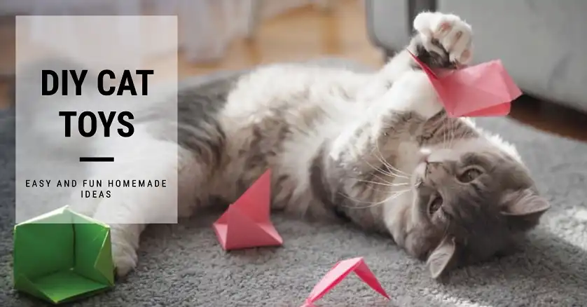 Simple Homemade Toy Ideas You Can Use to Entertain Your Cat