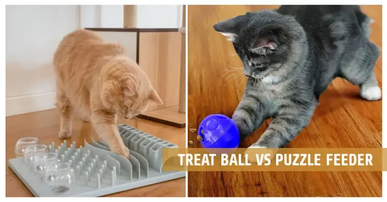 Treat Ball vs Puzzle Feeder: Which One Is Best for Your Pet?