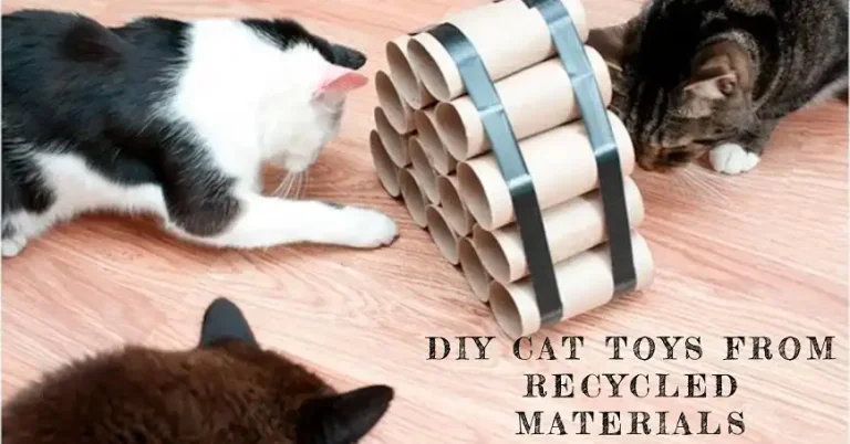 How to Make Homemade Cat Toys with Recycled Materials