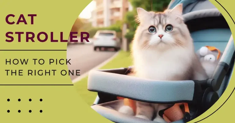 How to Pick the Right Cat Stroller?