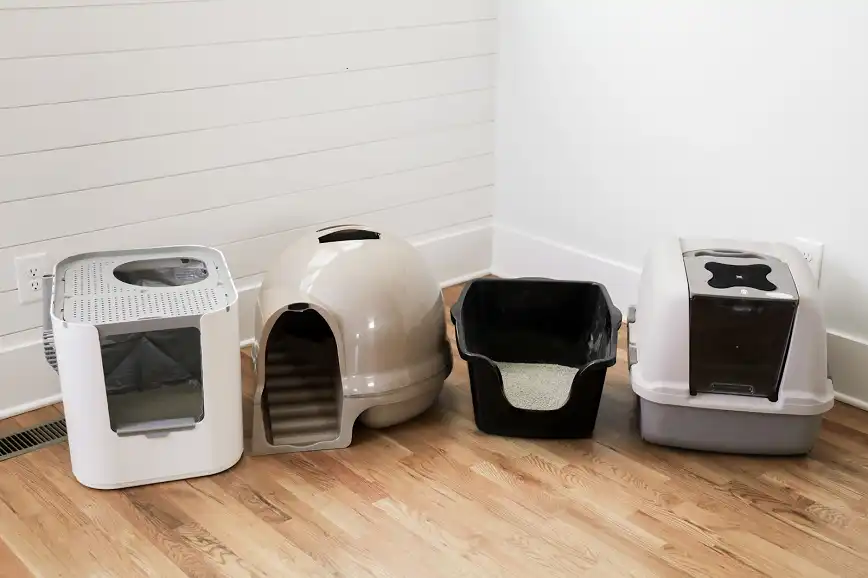 Choose the Right Litter Box