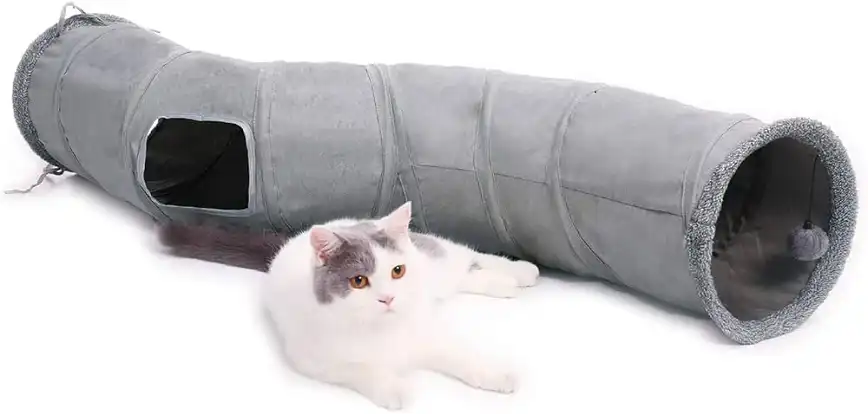 Cat Tunnels