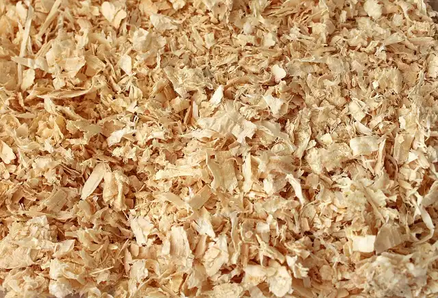 Wood Shavings