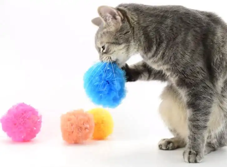 Are Crinkle Toys Safe for Cats