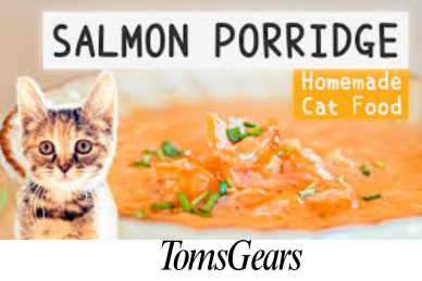 How to Cook Salmon for Cats?