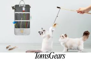 How to Store Cat Wands? The Best Ways to Keep Them Safe and Tangle-Free