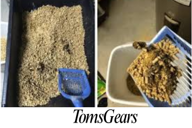 How to Use Pine Pellets for Cat Litter?