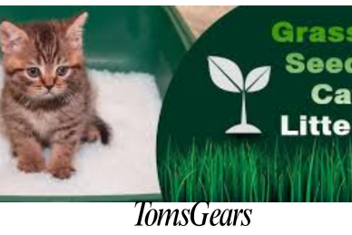 Is Grass Seed Litter Safe for Cats?
