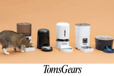 Are Automatic Cat Feeders Worth It?