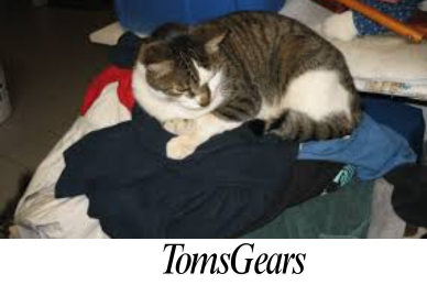 Why Does My Cat Sleep on My Clothes?