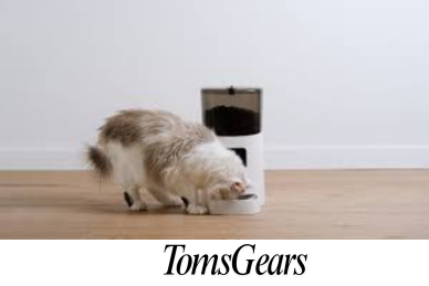 How to Train Your Cat to Use an Automatic Feeder?