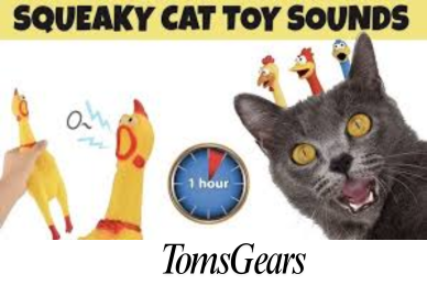Do Cats Like Squeaky Toys?