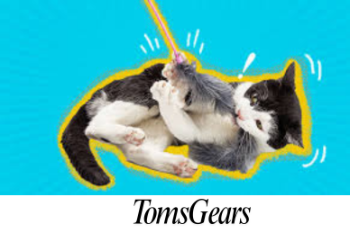 Are Feather Toys Safe for Cats?