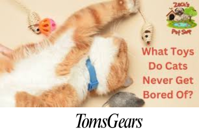 How to Tell if Your Cat is Bored With Their Toys