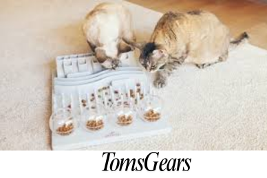 How to Choose a Puzzle Toy for Your Cat?