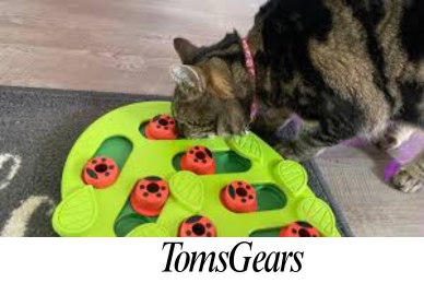 How Wood Pellet Cat Litter Works?