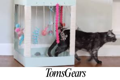 Simple Homemade Toy Ideas You Can Use to Entertain Your Cat