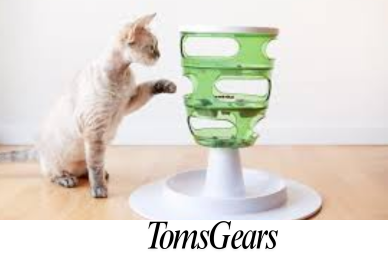 Treat Ball vs Puzzle Feeder: Which is Better for Your Cat?
