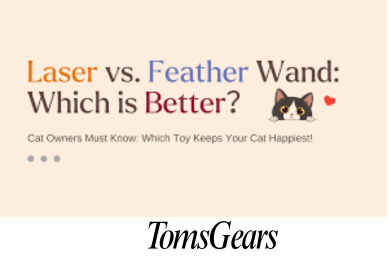 Laser Pointer vs Feather Wand: Which One’s Better for Your Cat?