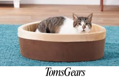 Do Heated Cat Beds Help with Arthritis?