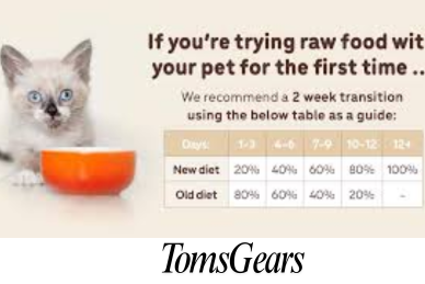 How Much Raw Food Should You Feed Your Cat?