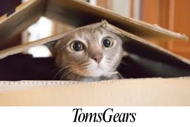 What Toys Can You Give To Your Cats to Keep Them Entertained While You Are at Work?