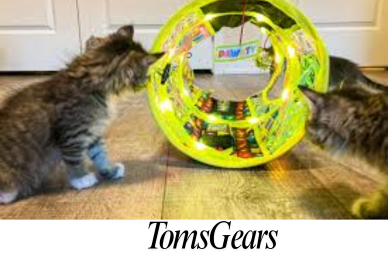 Best Interactive Cat Toys for Mental Stimulation