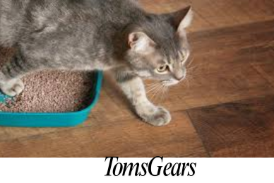 How to Prevent Litter Box Tracking: A Cat Owners’ Guide