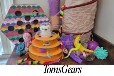 Are Crinkle Toys Safe for Cats?